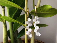 Load image into Gallery viewer, Ludisia Pearl Party Earrings by Debbie Debster
