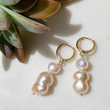 Load image into Gallery viewer, Marshmallow earrings with flower display

